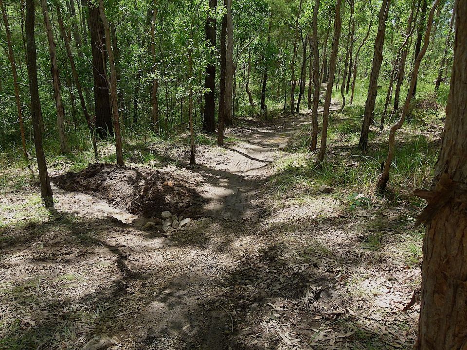 P1160343.jpg